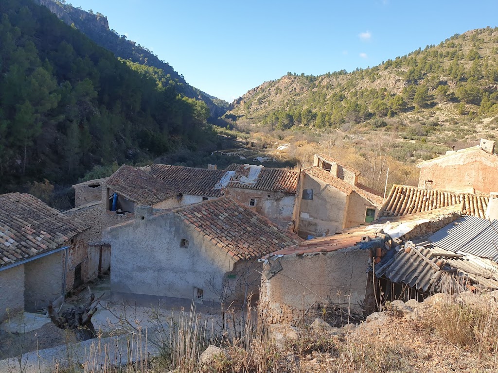 Alcadima