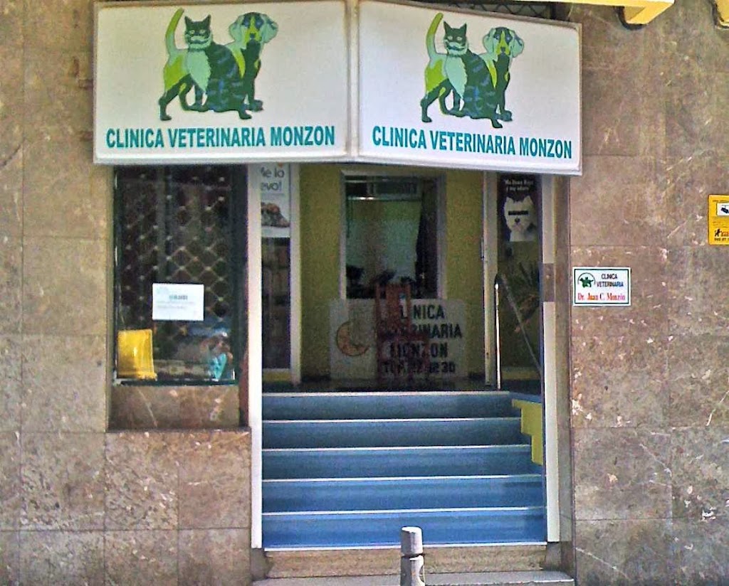 Clinica Veterinaria Monzon — Del propietario