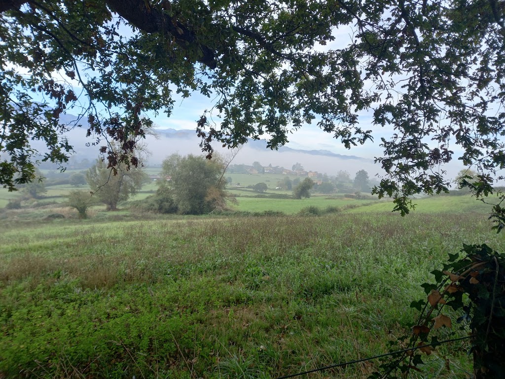Primera etapa Camino de Santiago Primitivo