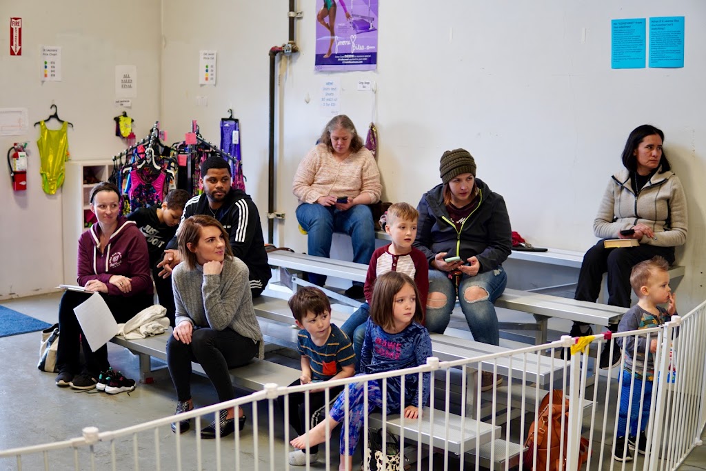  Gym Stars Gymnastics