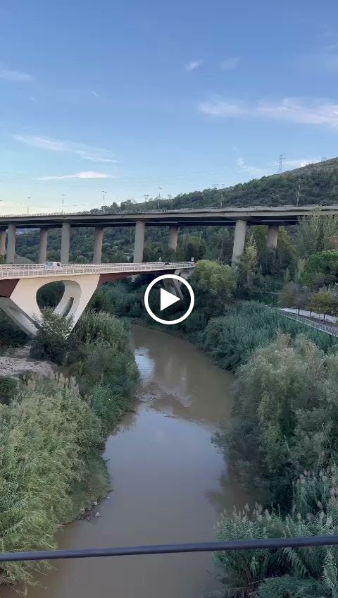 Restaurante martorell — Videos
