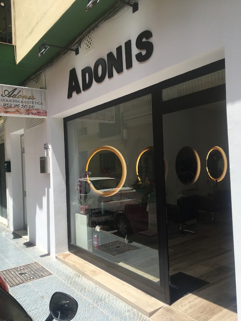 Adonis peluqueras — Exterior