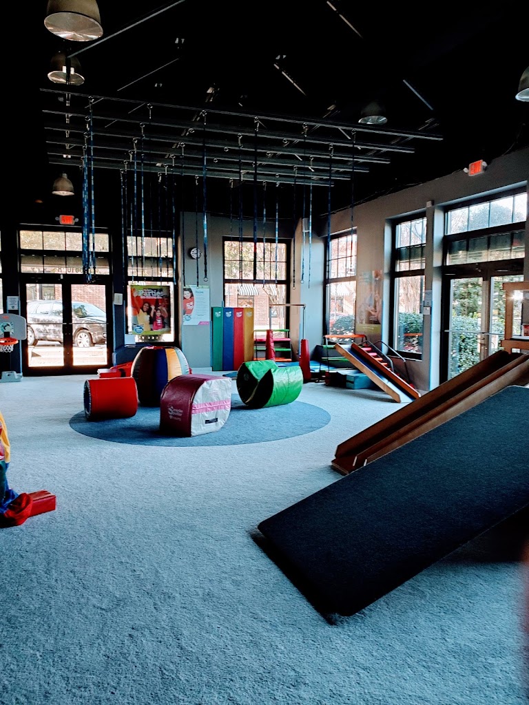  My Gym(Children's Fitness Center)