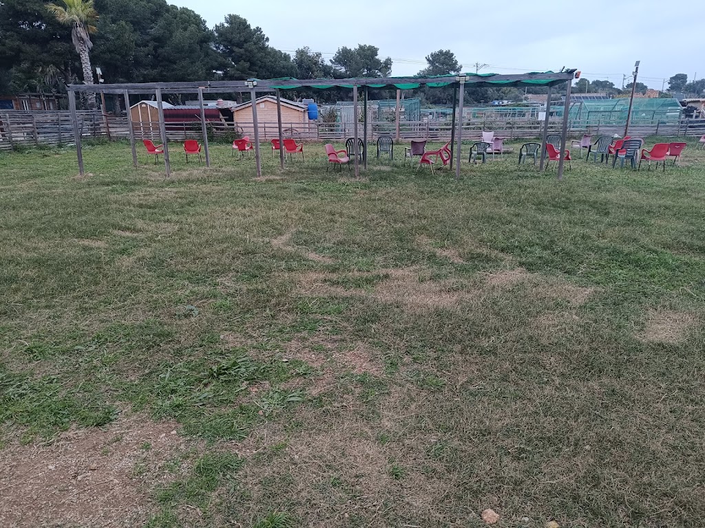 Adiestramiento & Educacion de Perros - CANJOANCANINS