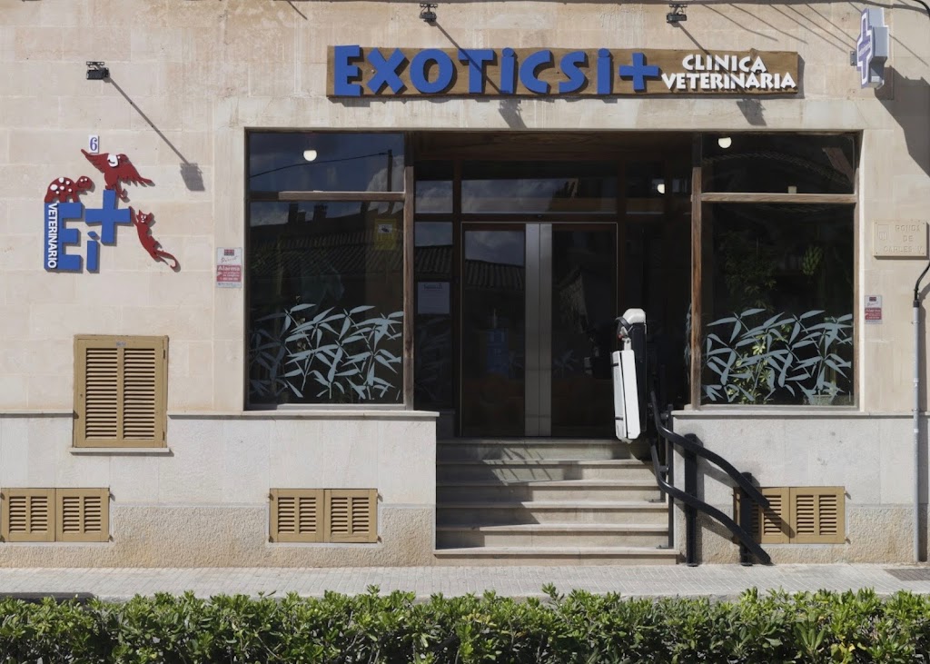 EXOTICS I +, CLINICA VETERINARIA EN LLUCMAJOR