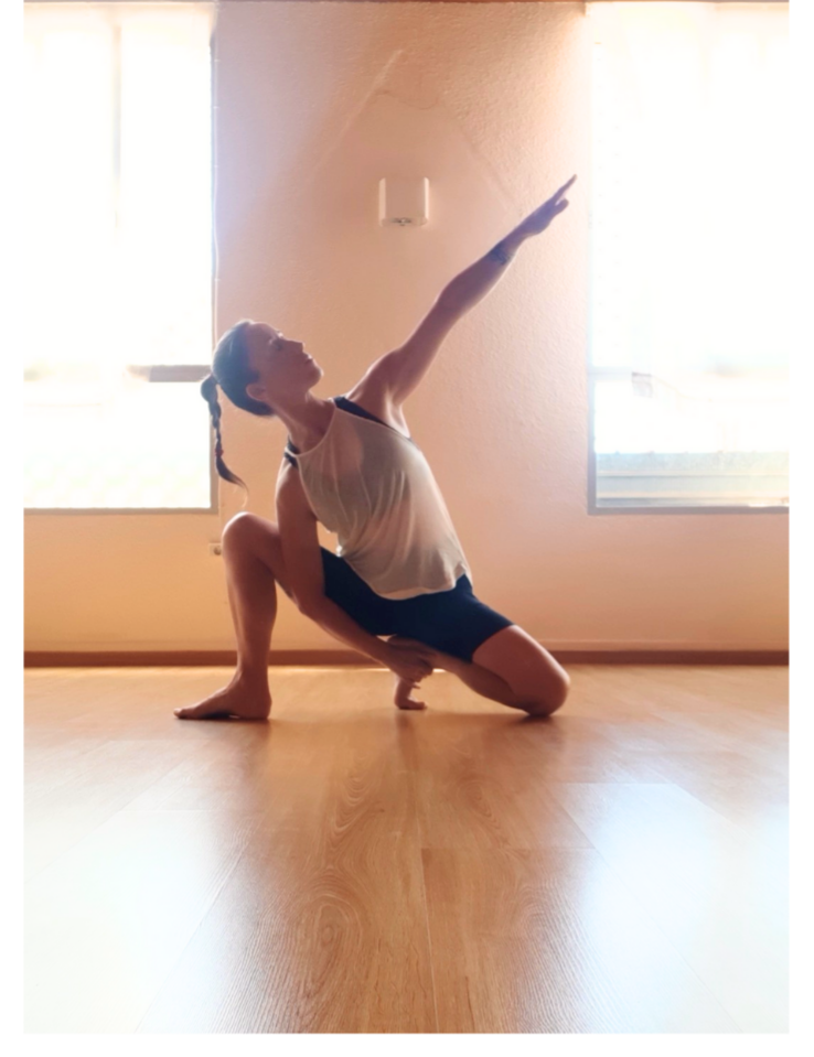 SATTVAYOGA ~l'espai de hatha raja yoga de Vinaros