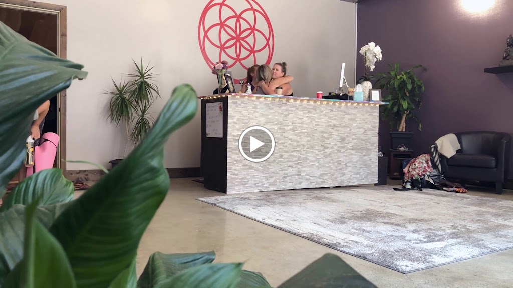  Evolve Yoga and Wellness