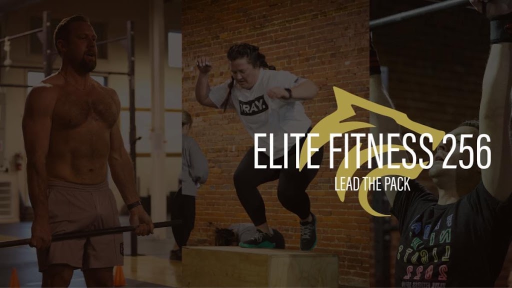  Elite Fitness 256