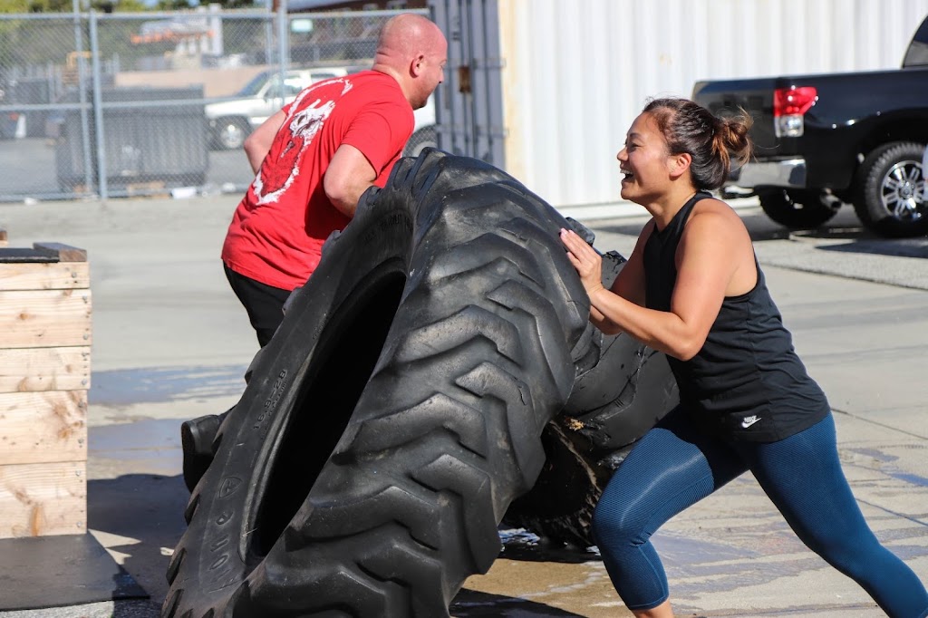  Torrance Training Lab