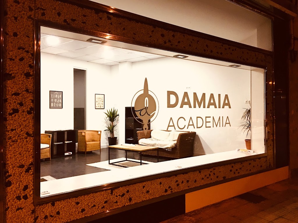 Academia Damaia — Del propietario