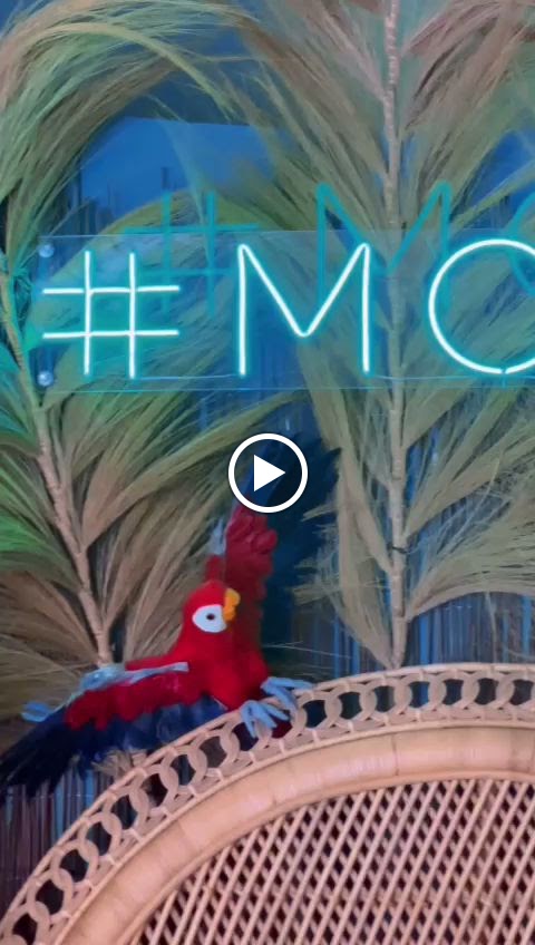 MOOD Cafe - Los Cristianos — Del propietario
