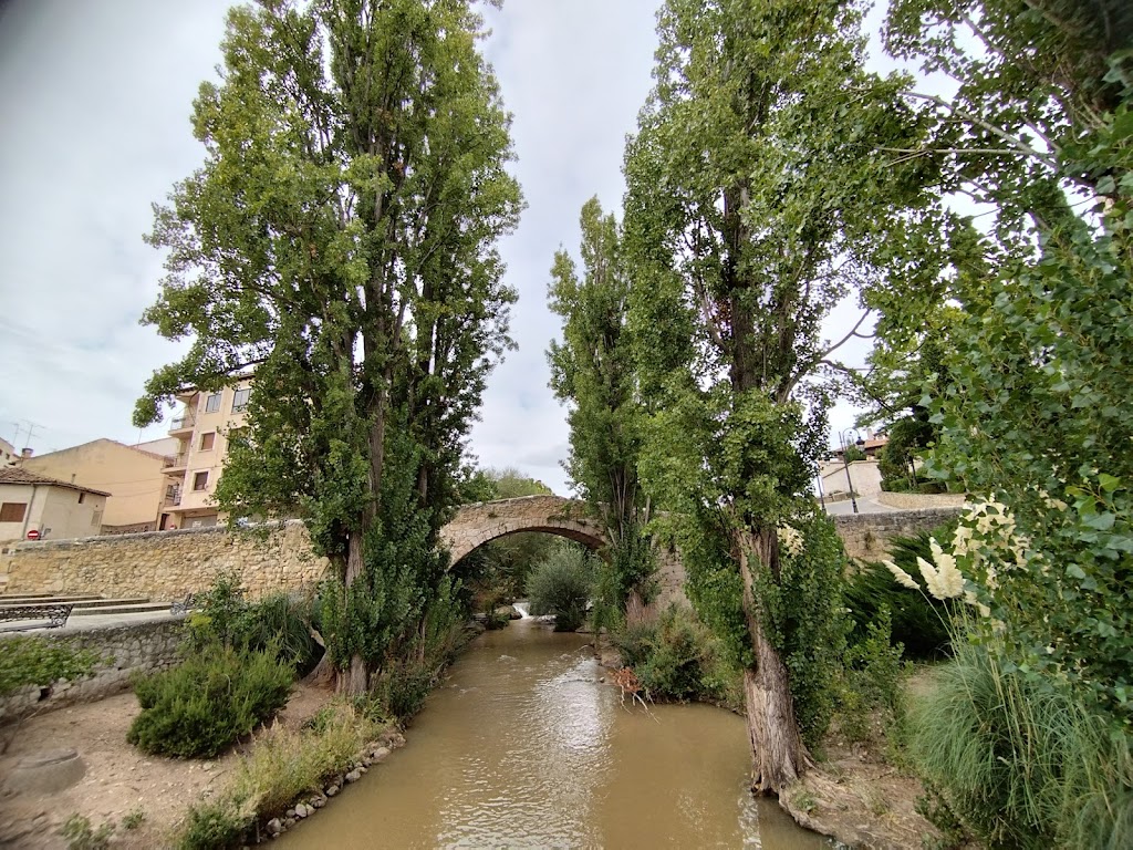 Puente de piedra medieval