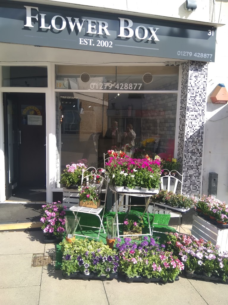 Flower Box