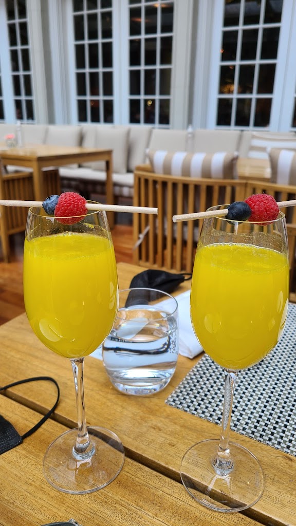 Mimosa
