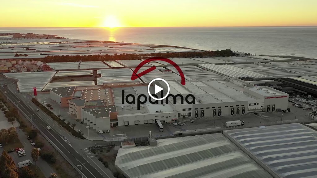 Gasolinera | Granada La Palma — Del propietario