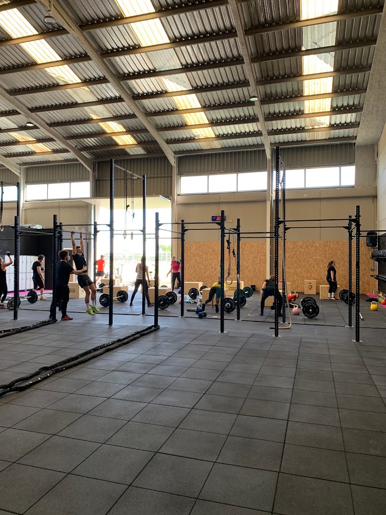 Mapache Training Club