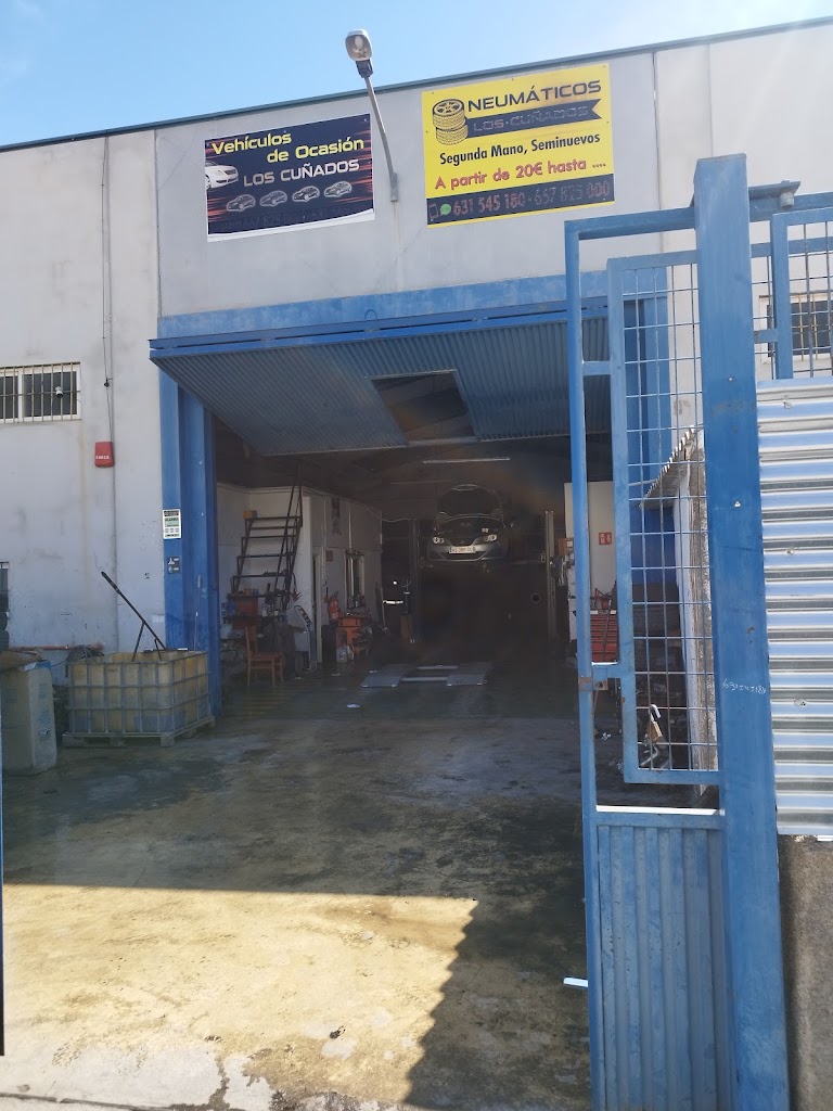 NEUMATICOS CUNADOS — Exterior