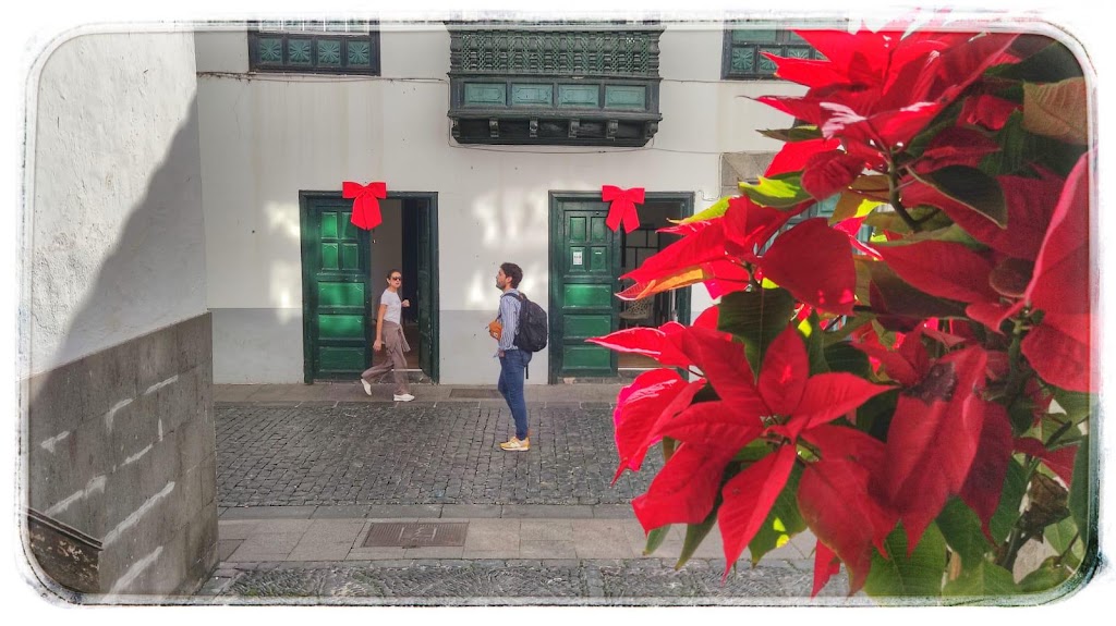 Le Petit studio nails & lash