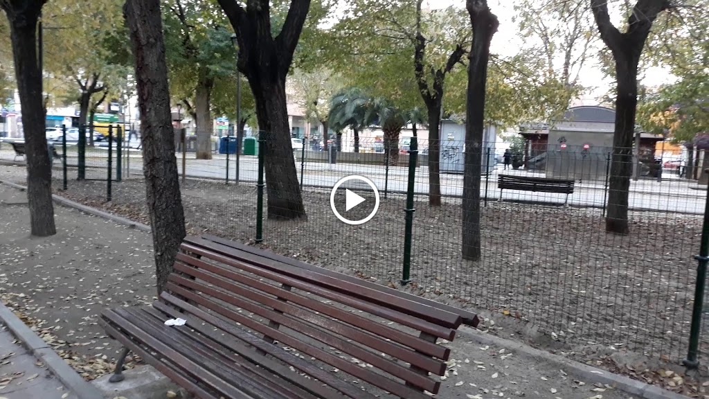 Cafeteria Trazos — Videos