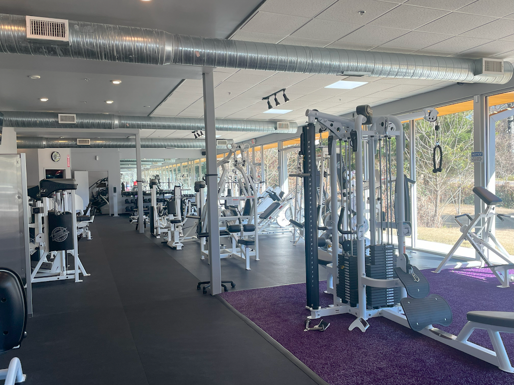  Ultimate Bodies By Carlos