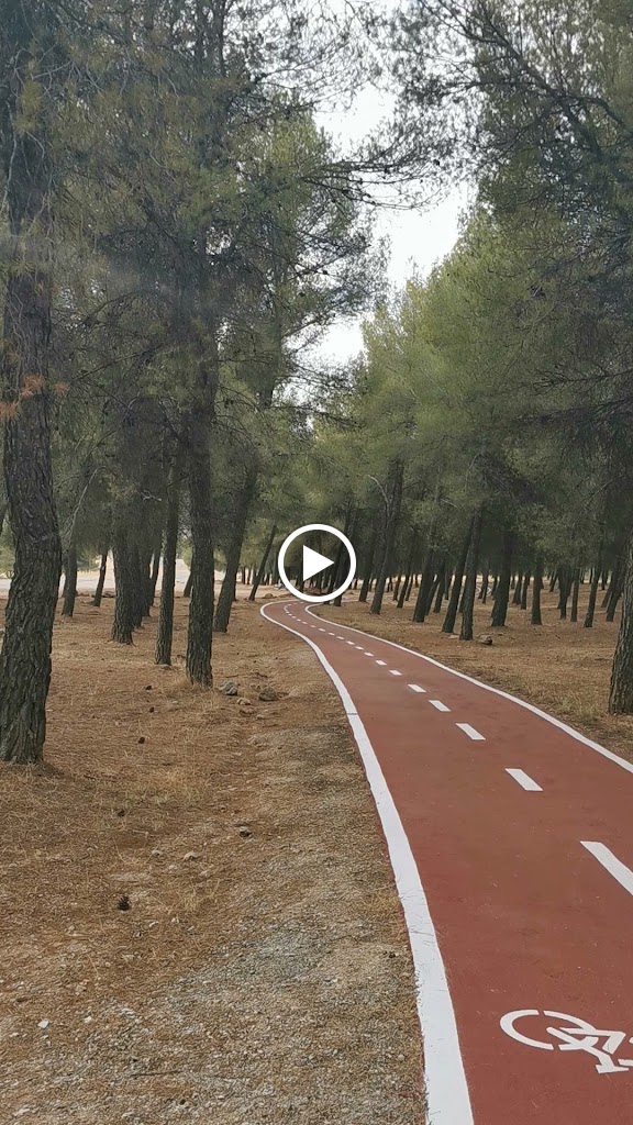 Carril bici — Videos
