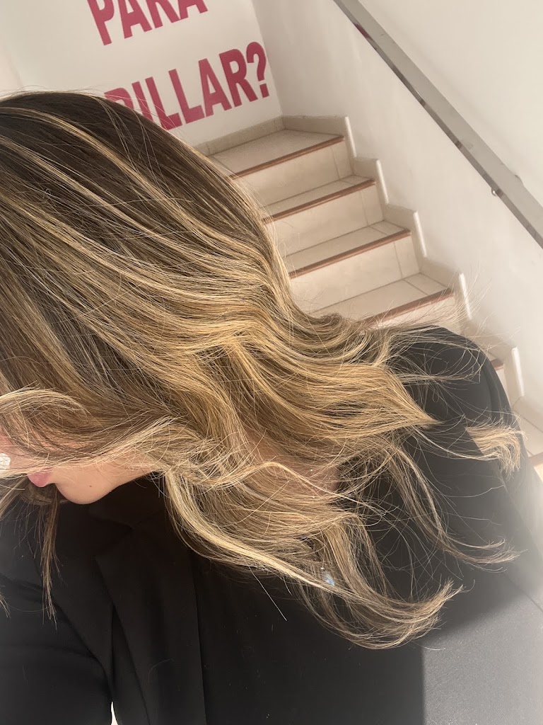 Vicen Cambelt Studio