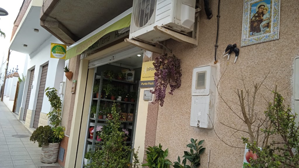 Herboristeria Garden Madre Tierra