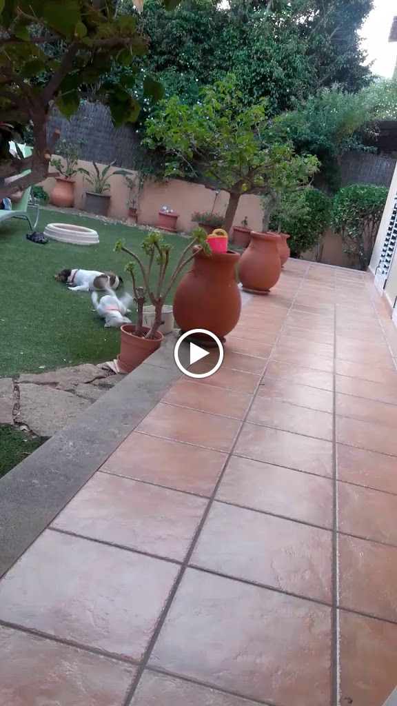 HOTEL VISTA ALEGRE — Videos