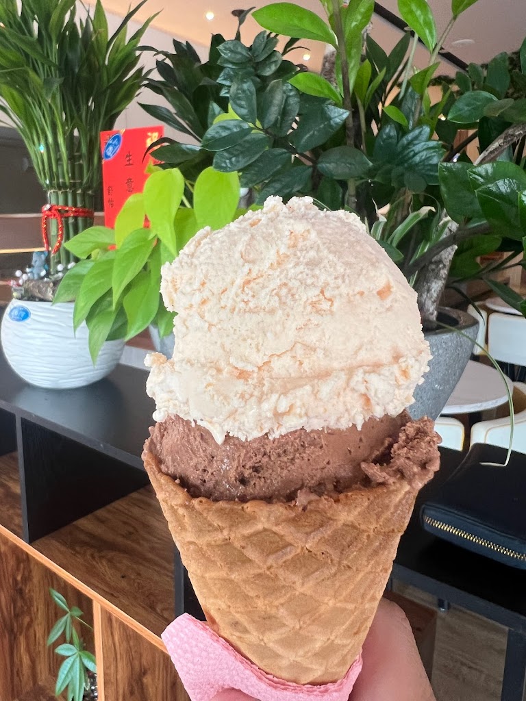 妃藏茗義式手工冰淇淋 的照片