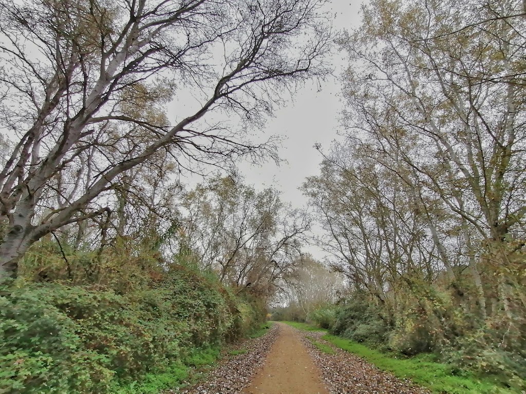 Sendero Del Guadiamar