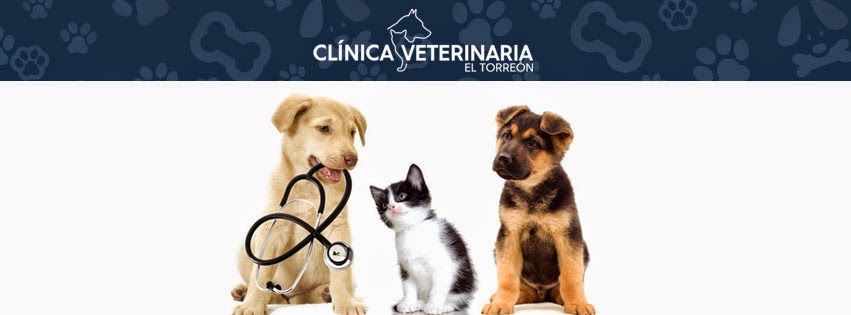 Clinica Veterinaria El Torreon