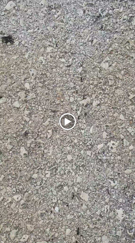 Estacion de Servicio Repsol — Videos