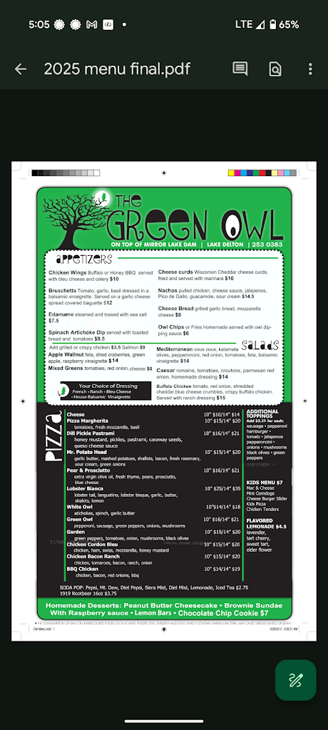  The Green Owl Pizza