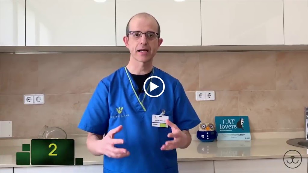 CLINICA VETERINARIA EN SAN SEBASTIAN DE LOS REYES - SANSEPET — Videos