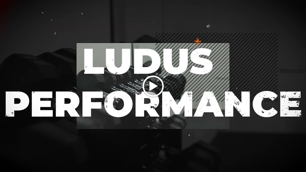  Ludus Performance Gym