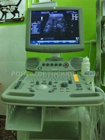Clinica Veterinaria Motril — Del propietario