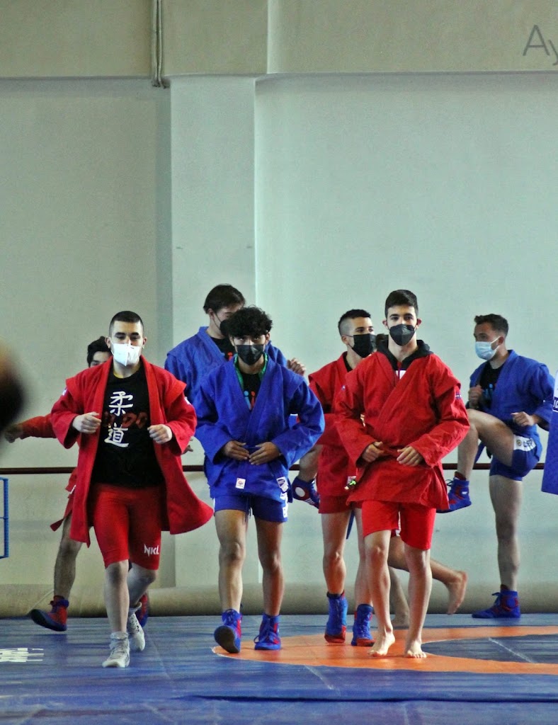 CD JUDO Y SAMBO BLAS GONZALEZ — Del propietario