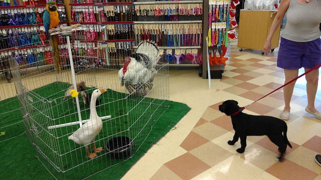 Cage