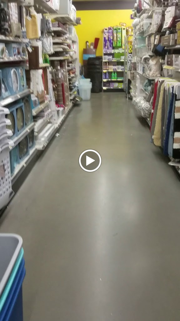 Videos