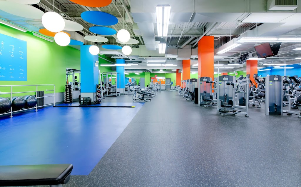  Blink Fitness (PureGym)