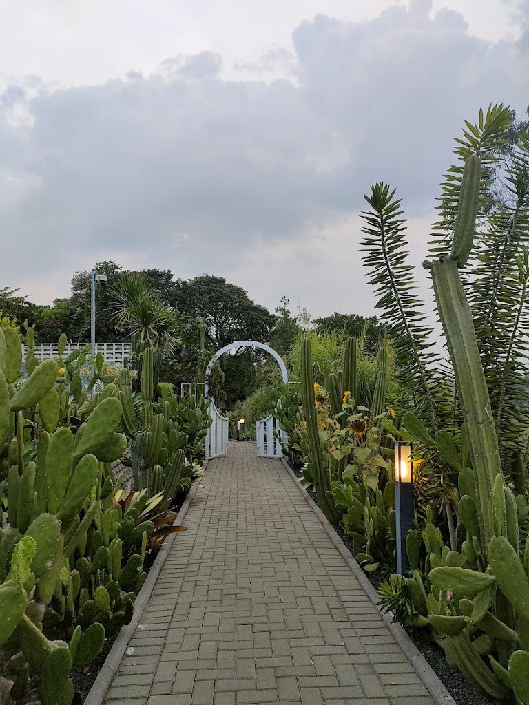 Kalasenja Family Camping