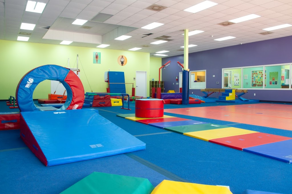  The Little Gym of Katy