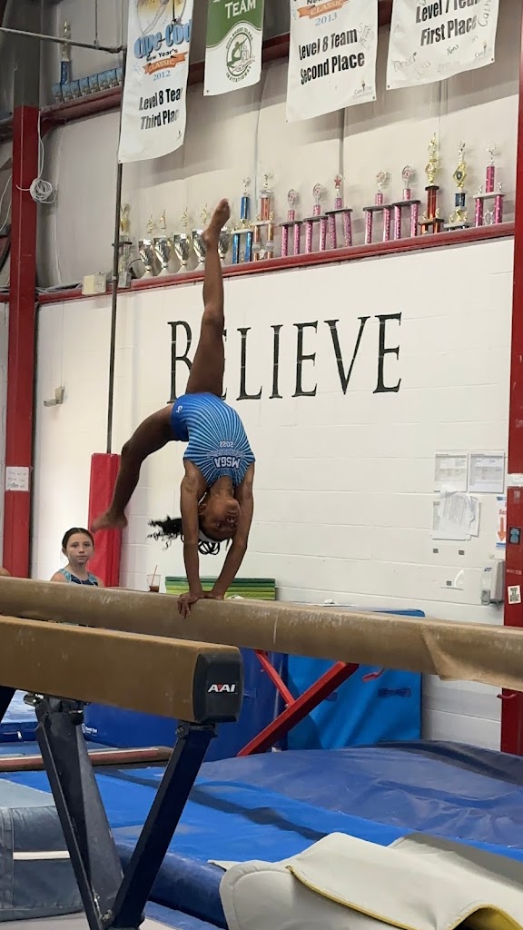  Metro South Gymnastics Academy
