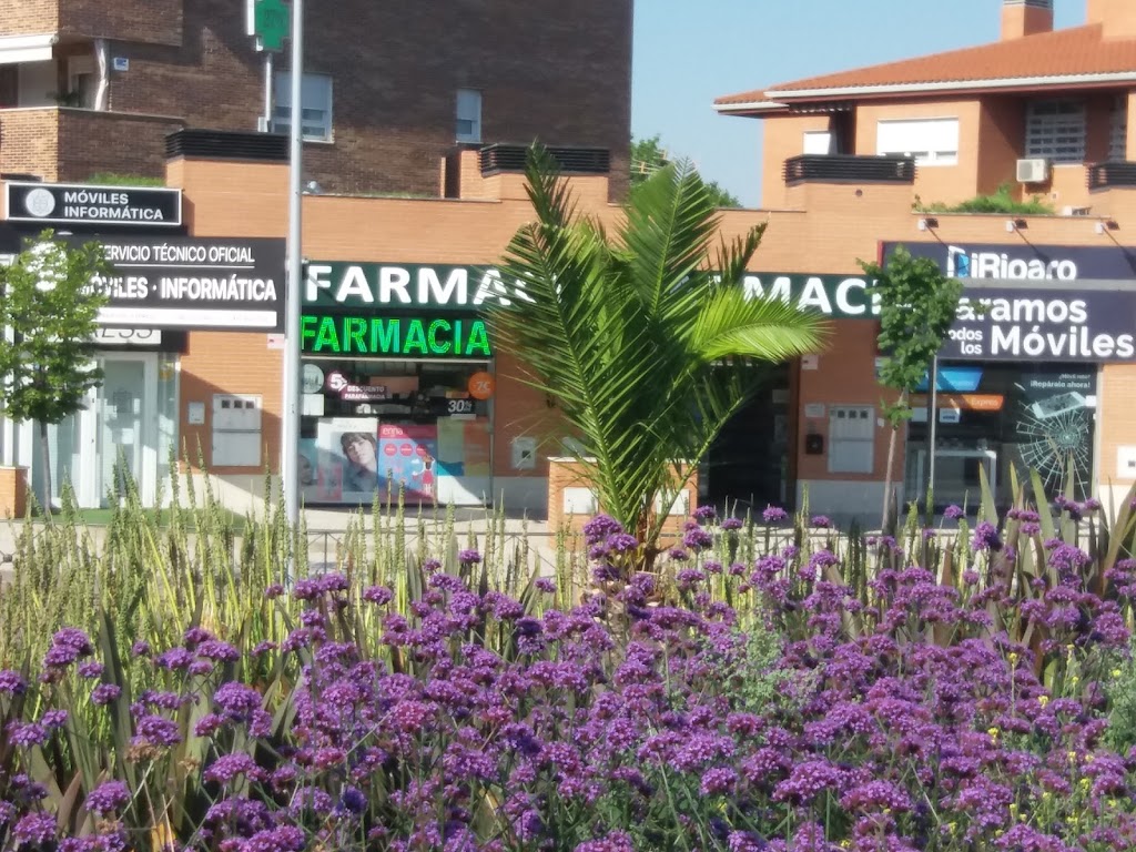 Farmacia Nuevo Mundo — Del propietario