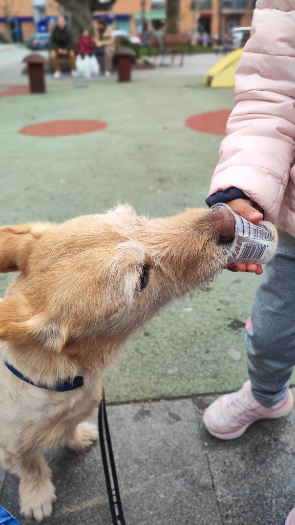 Restaurant Gall Mullat