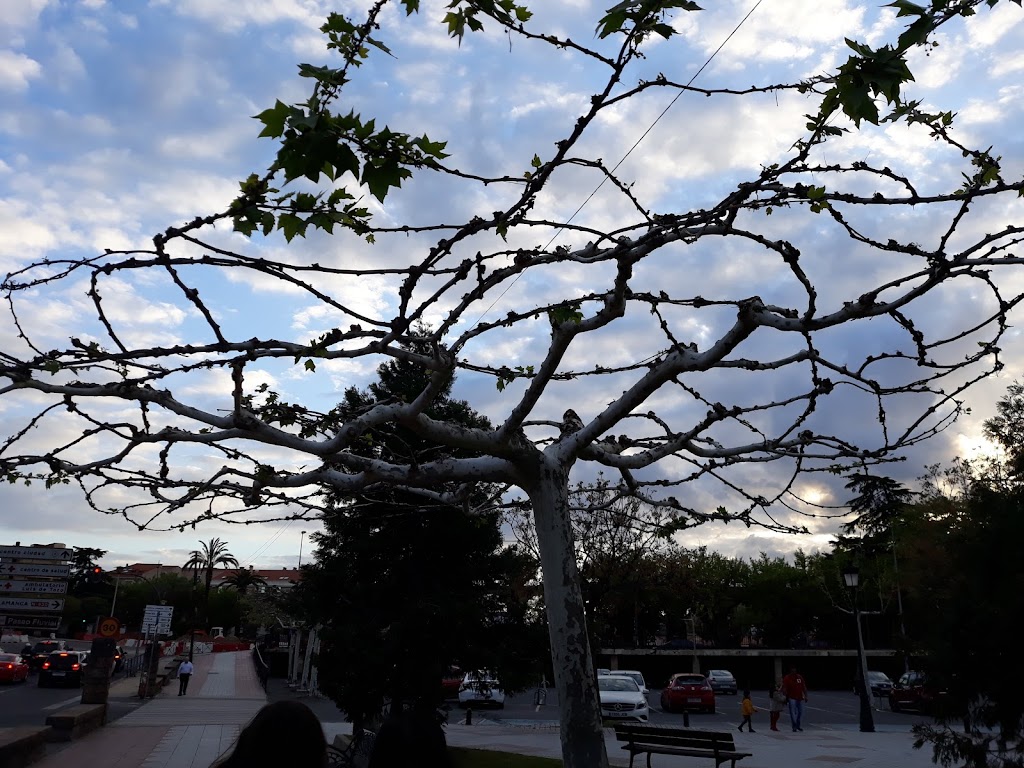 Aparcamiento publico de La Coronacion