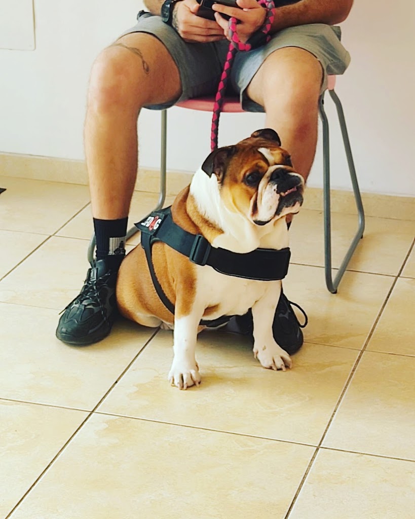 Veter Sana veterinarios