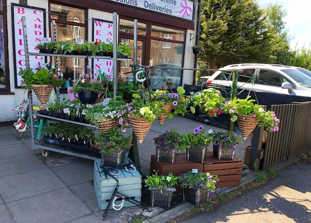 Bows & Roses Florist