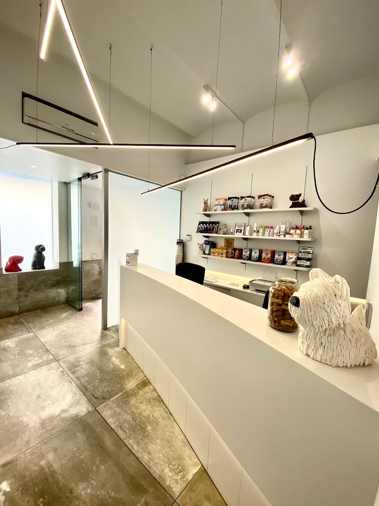 Clinica Veterinaria Grau