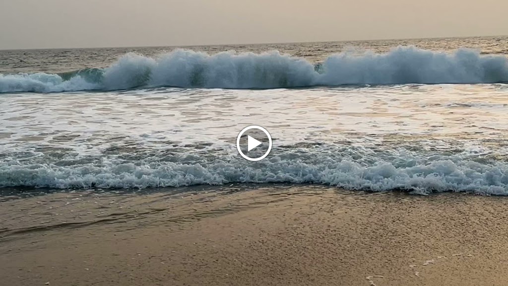 Videos